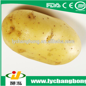 2014 exportador de papas frescas de China